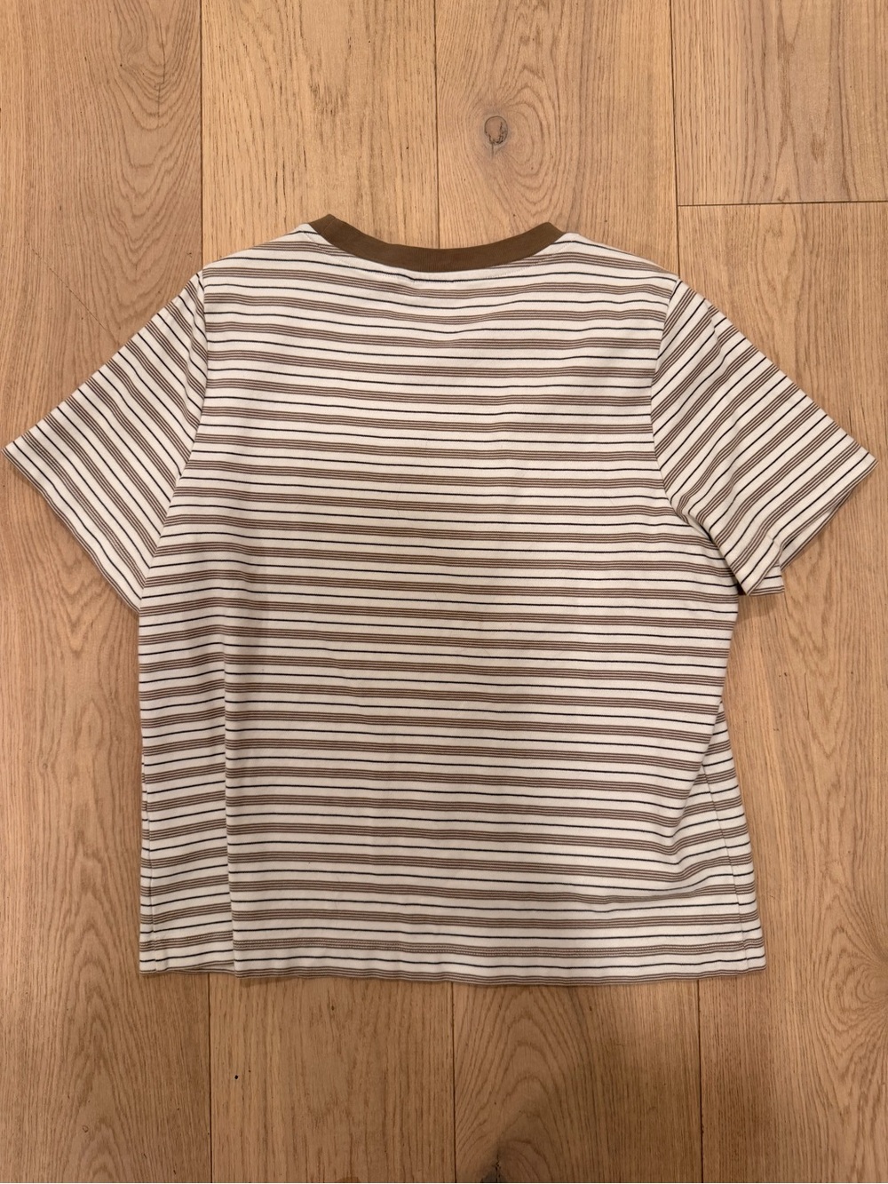 Aritzia Striped Short Sleeve Tee in Brown and White